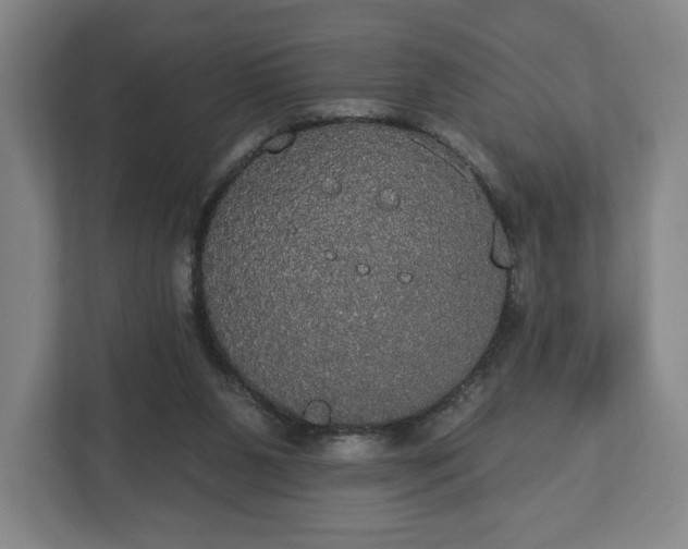 X0000113060111200909041046