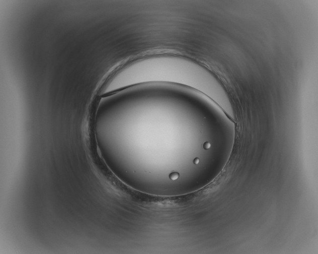 X0000113060112200909041046