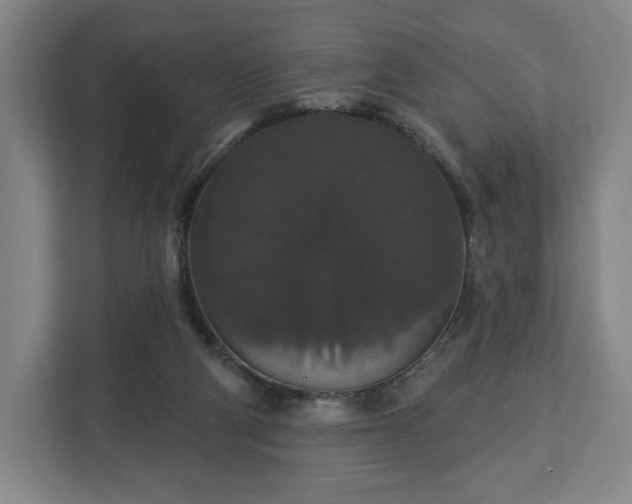 X0000113060114200909041046