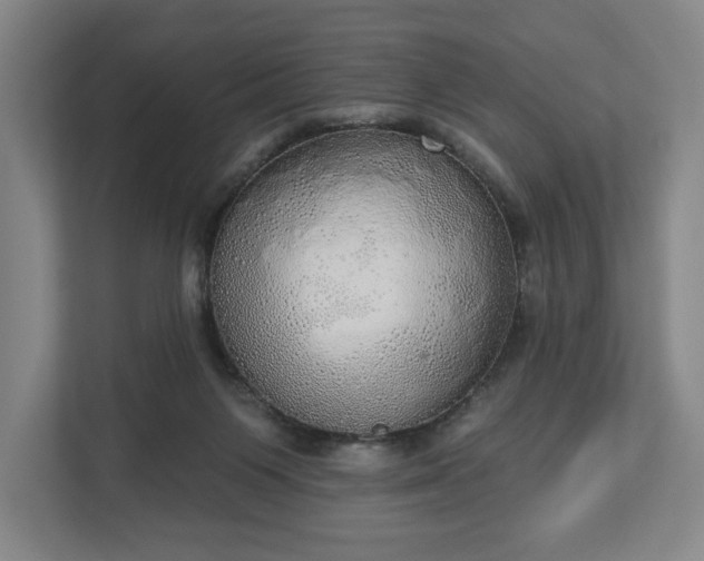 X0000113060119200909041045