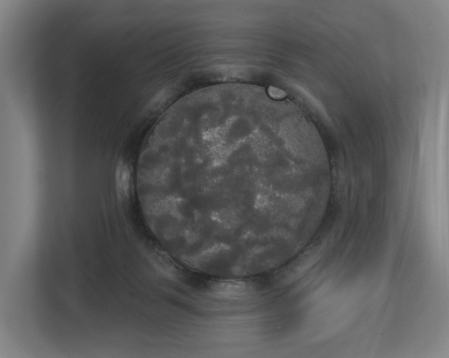 X0000113060123200909041045