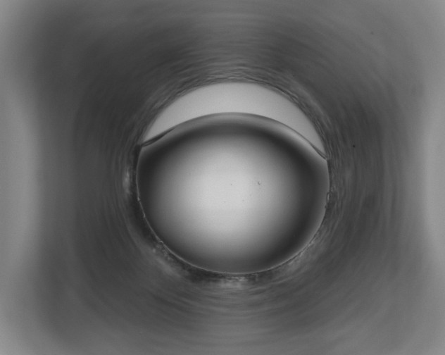 X0000113060124200909041045