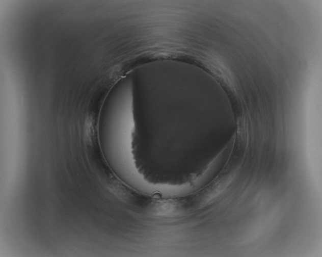 X0000113060127200909041045