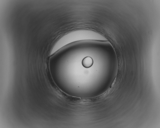 X0000113060128200909041045