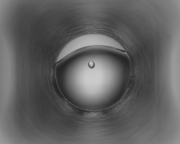 X0000113060129200909041045
