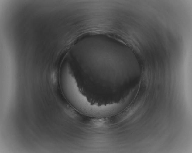 X0000113060131200909041045