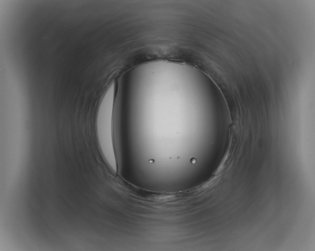 X0000113060132200909041045