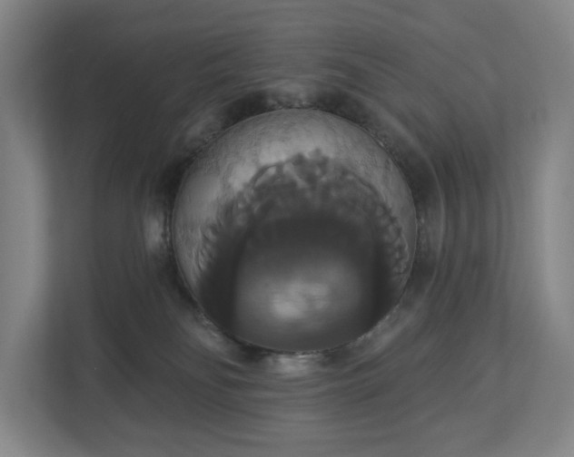 X0000113060134200909041045