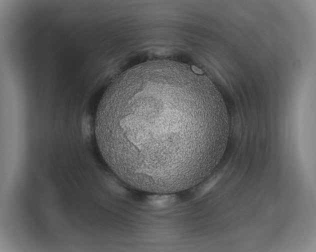 X0000113060135200909041045