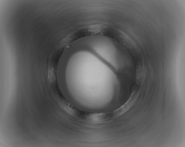 X0000113060136200909041045