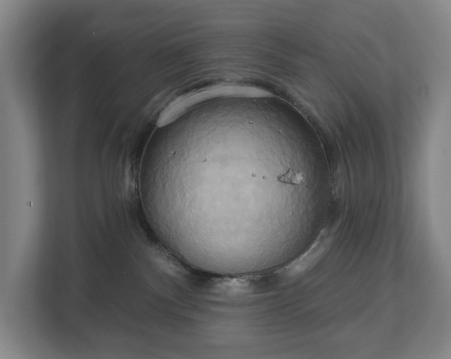 X0000113060140200909041045
