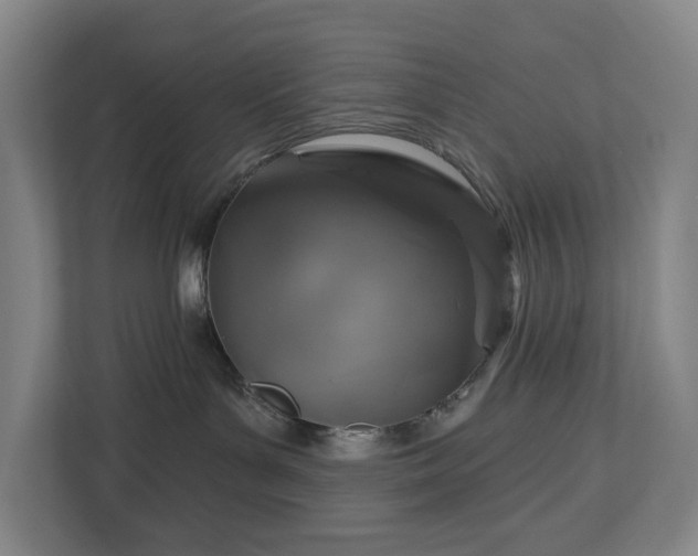 X0000113060143200909041045