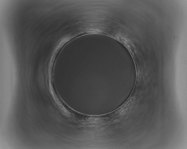 X0000113060145200909041044