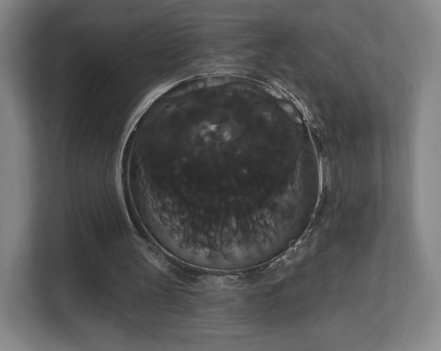 X0000113060147200909041045