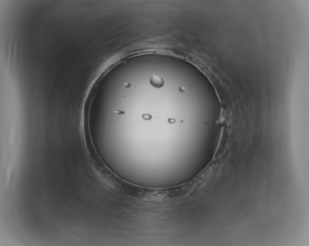 X0000113060148200909041045