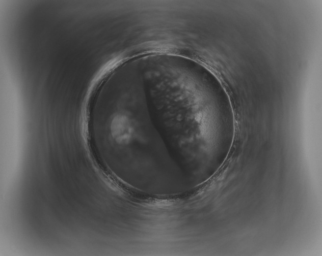 X0000113060149200909041045