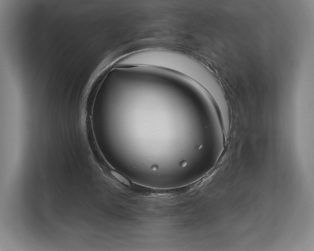 X0000113060150200909041045
