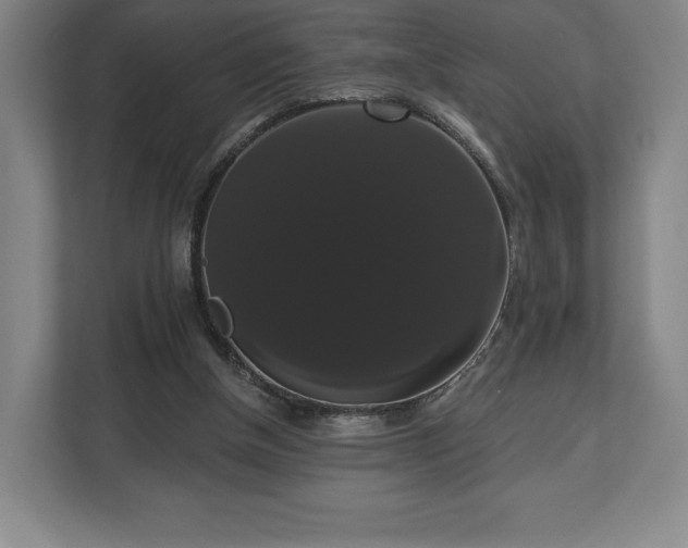 X0000113060154200909041045