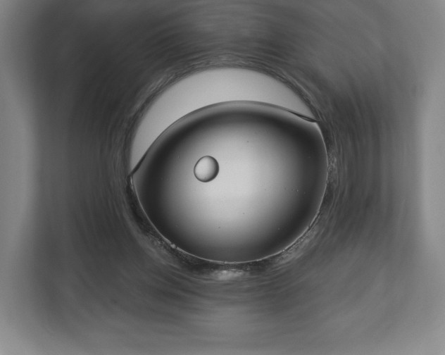 X0000113060158200909041045