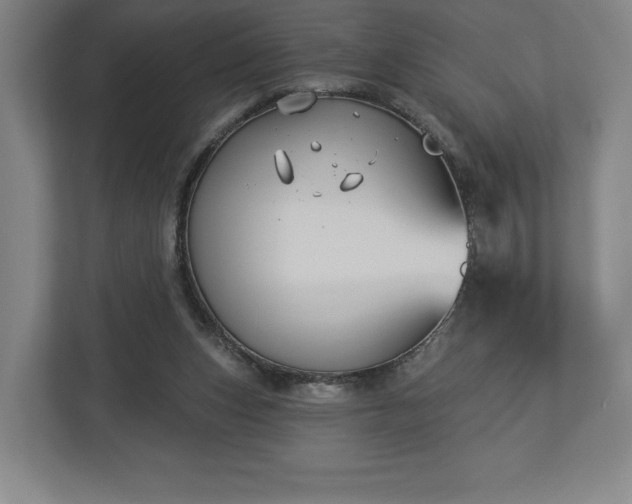 X0000113060159200909041045