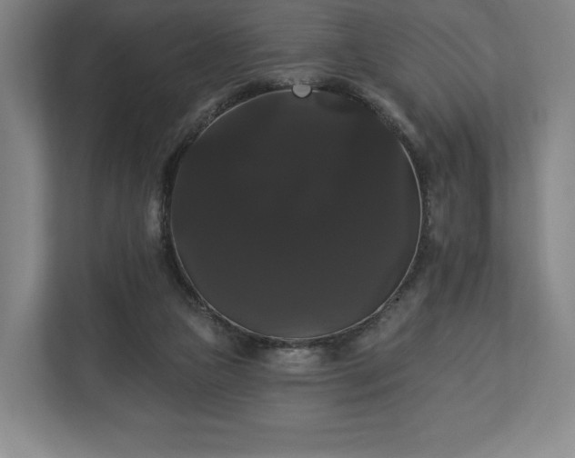 X0000113060161200909041045