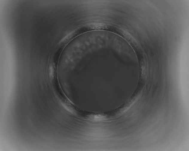 X0000113060165200909041045