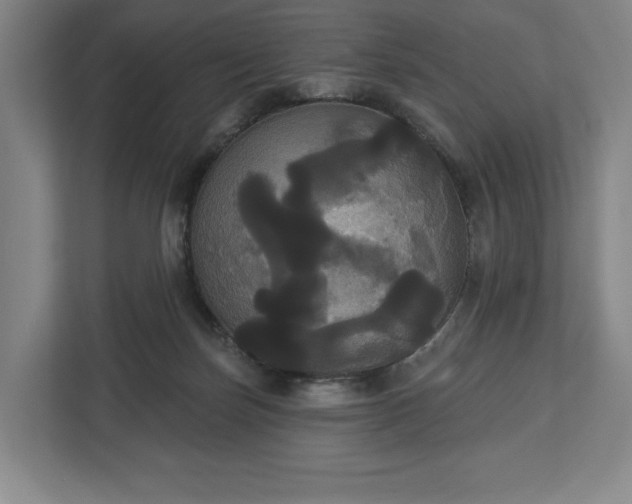 X0000113060171200909041045