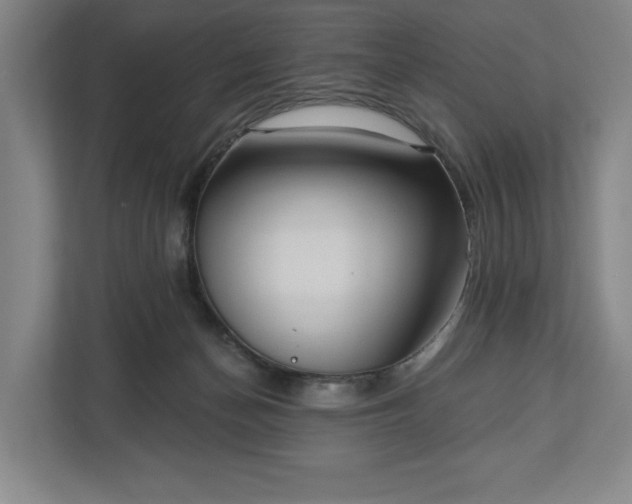 X0000113060174200909041045