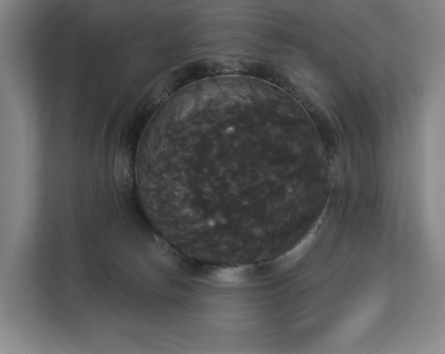 X0000113060178200909041045