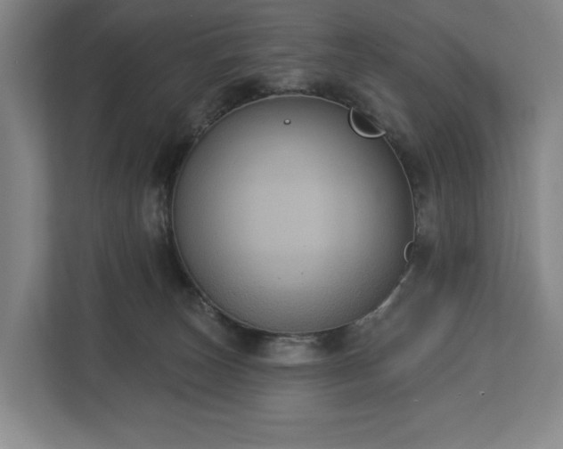 X0000113060179200909041045