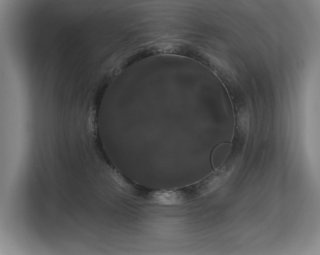 X0000113060181200909041045