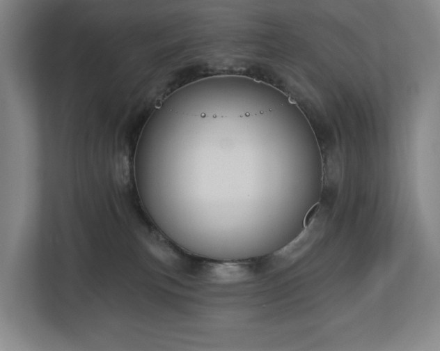 X0000113060183200909041045