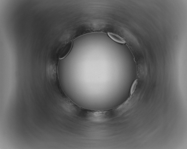X0000113060184200909041045