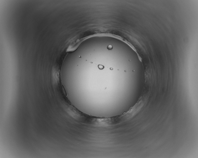 X0000113060188200909041045