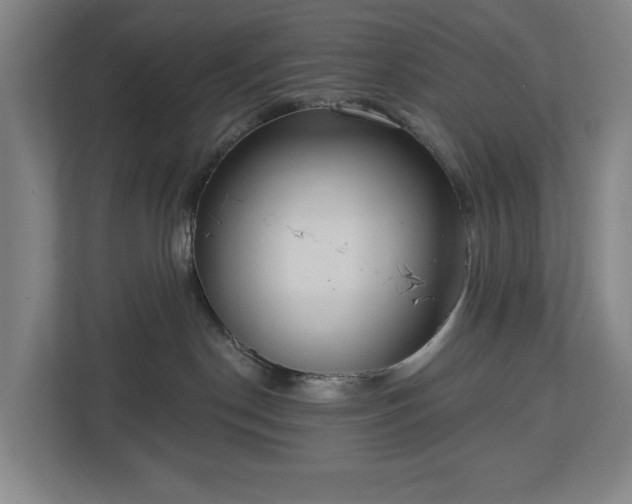 X0000113060190200909041045