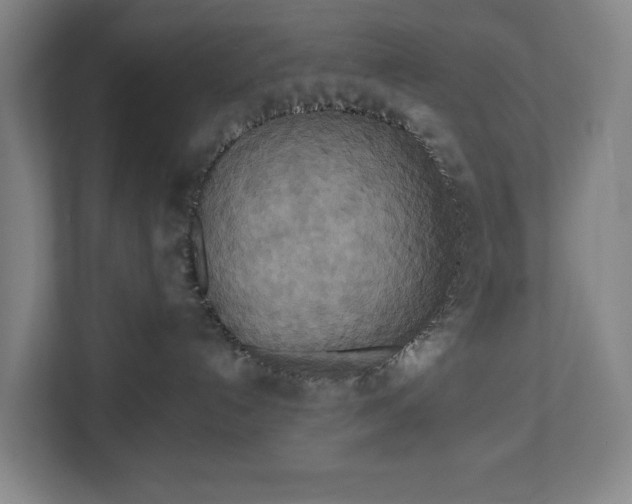 X0000113060192200909041045