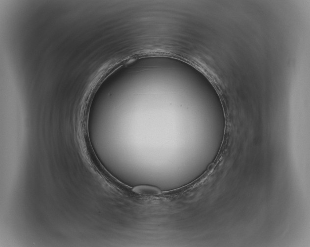 X0000113060193200909041044