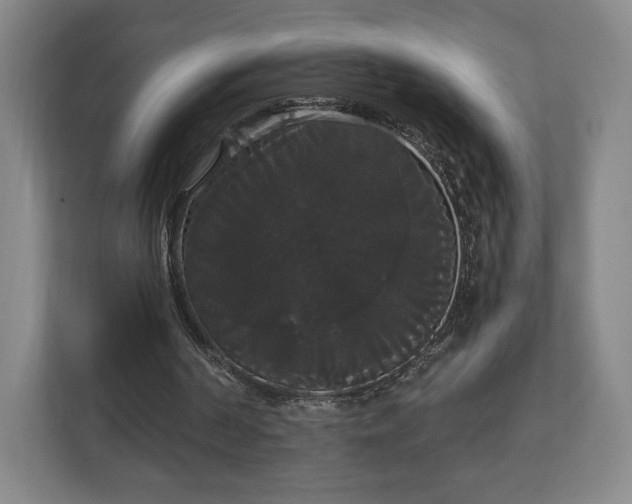 X0000113060194200909041044
