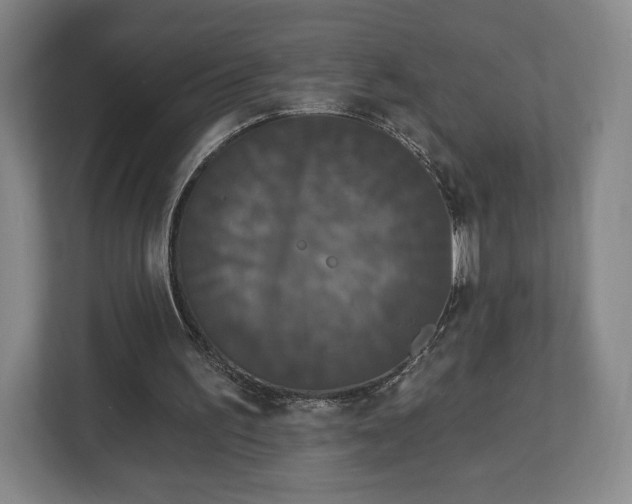 X0000113060195200909041044