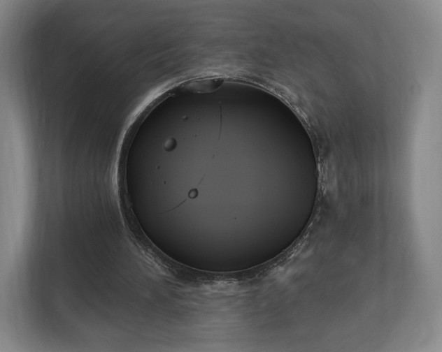 X0000113060196200909041044