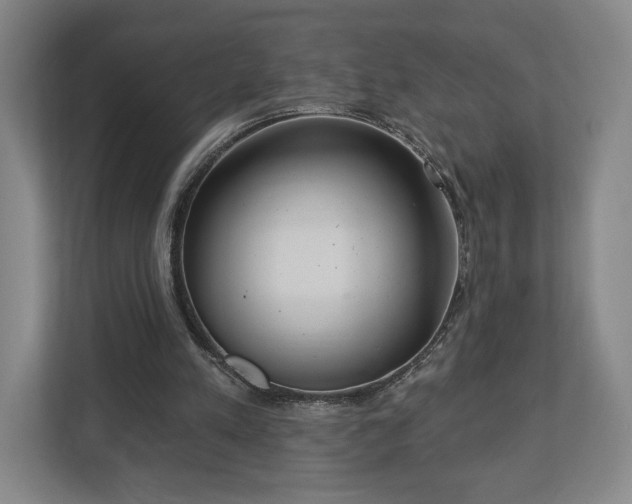 X0000113060197200909041044