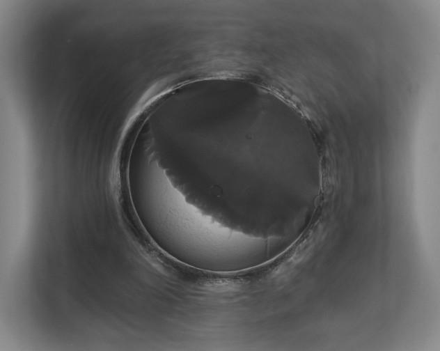X0000113060198200909041044