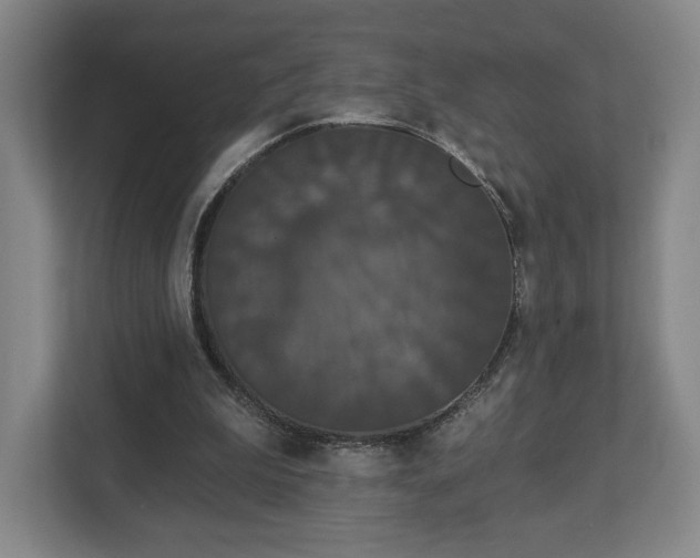 X0000113060199200909041044