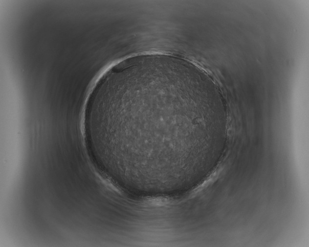 X0000113060200200909041044