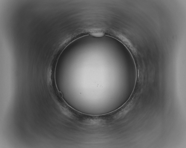 X0000113060201200909041044