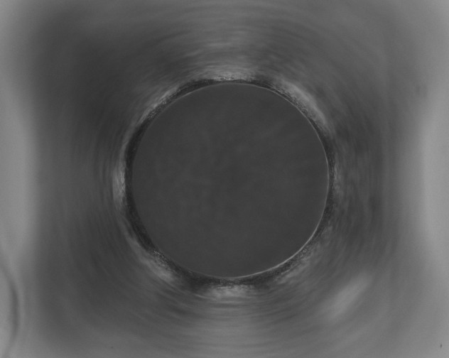 X0000113060202200909041044