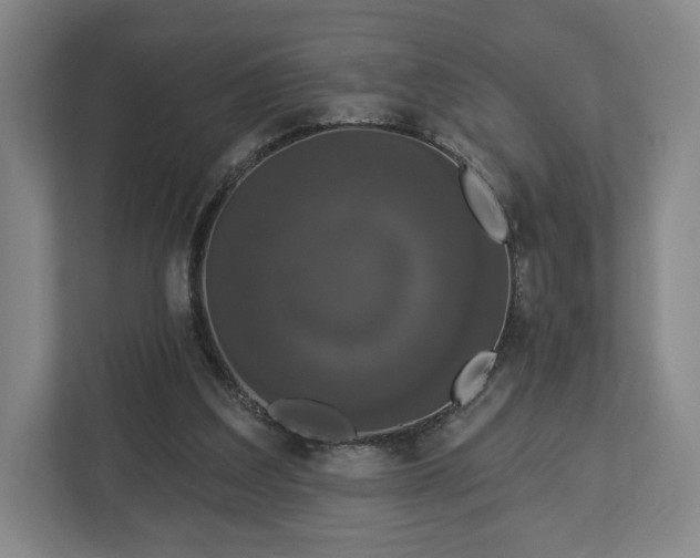 X0000113060203200909041044