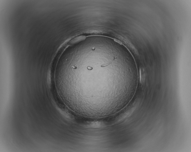 X0000113060204200909041044