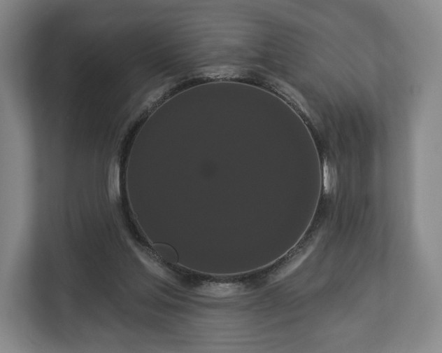 X0000113060205200909041044