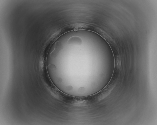 X0000113060206200909041044